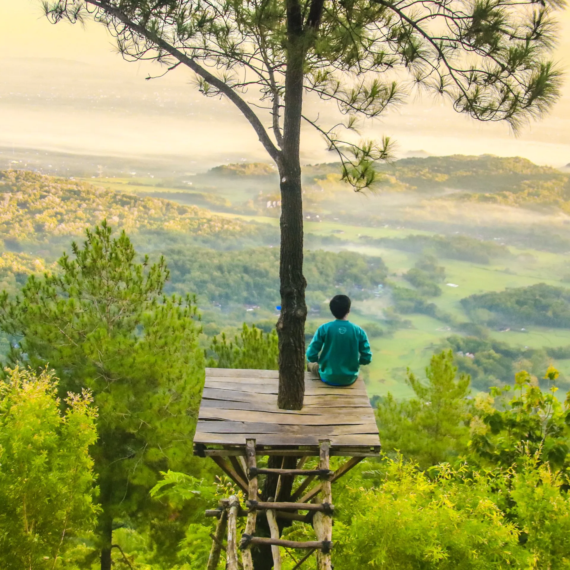 Main sitting on a wooden platform built at the top of a tree overlooking a valley