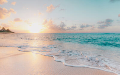 How I Found My Life Purpose Through Lessons Learned from the Ocean