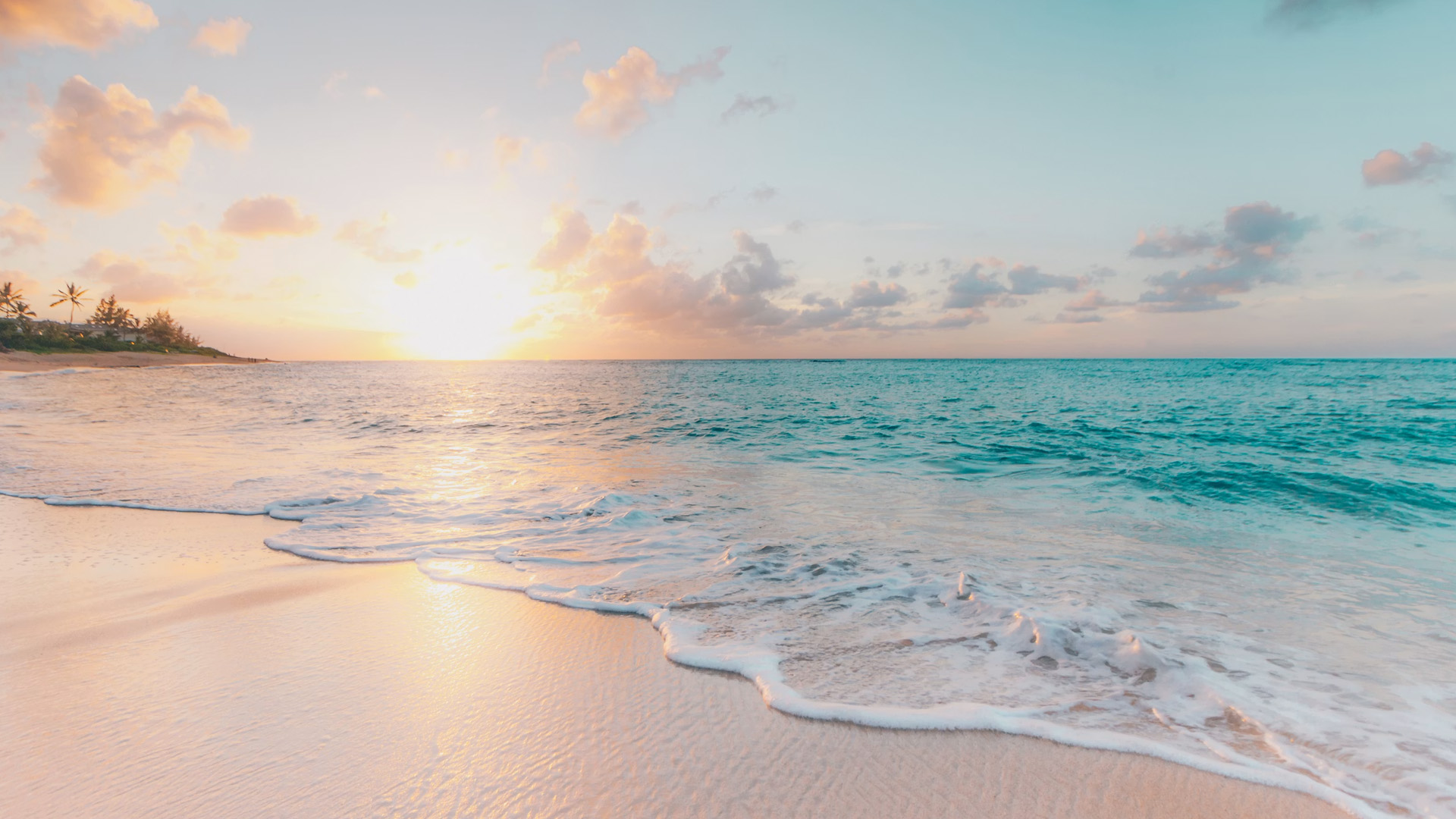beachblog